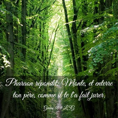 Picture 03 - Genèse 50:6 LSG - Pharaon répondit: Monte, et enterre ton père, - Bible Verse Picture