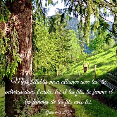 Picture 03 - Genèse 6:18 LSG - Mais j'établis mon alliance avec toi; tu - Bible Verse Picture