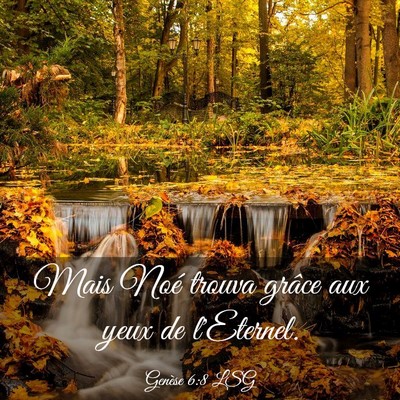 Picture 03 - Genèse 6:8 LSG - Mais Noé trouva grâce aux yeux de - Bible Verse Picture