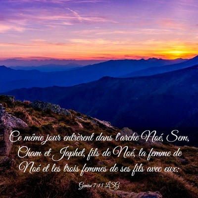 Picture 03 - Genèse 7:13 LSG - Ce même jour entrèrent dans l'arche Noé, Sem, - Bible Verse Picture