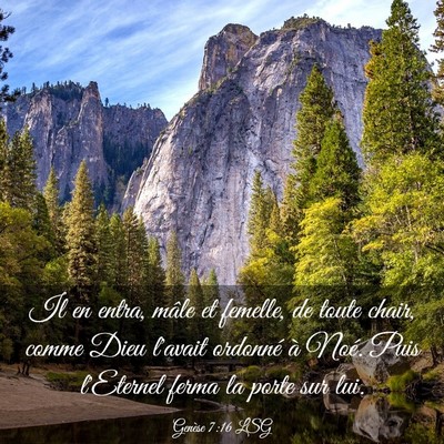 Picture 03 - Genèse 7:16 LSG - Il en entra, mâle et femelle, de toute chair, - Bible Verse Picture