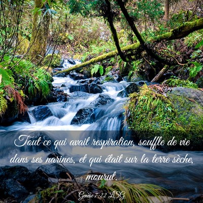 Picture 03 - Genèse 7:22 LSG - Tout ce qui avait respiration, souffle de vie - Bible Verse Picture