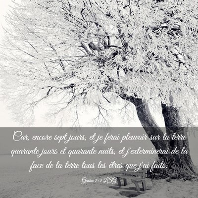 Picture 03 - Genèse 7:4 LSG - Car, encore sept jours, et je ferai pleuvoir sur - Bible Verse Picture