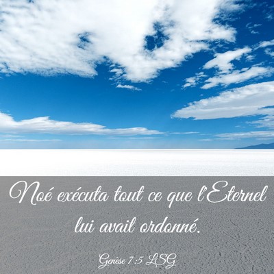 Picture 03 - Genèse 7:5 LSG - Noé exécuta tout ce que l'Eternel lui avait - Bible Verse Picture