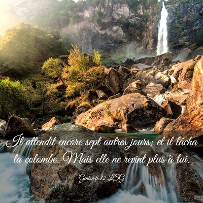 Picture 03 - Genèse 8:12 LSG - Il attendit encore sept autres jours; et il - Bible Verse Picture
