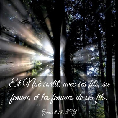 Picture 03 - Genèse 8:18 LSG - Et Noé sortit, avec ses fils, sa femme, et les - Bible Verse Picture