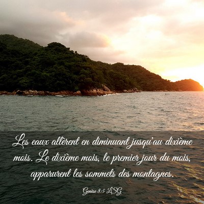 Picture 03 - Genèse 8:5 LSG - Les eaux allèrent en diminuant jusqu'au dixième - Bible Verse Picture