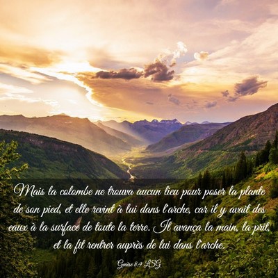 Picture 03 - Genèse 8:9 LSG - Mais la colombe ne trouva aucun lieu pour poser - Bible Verse Picture