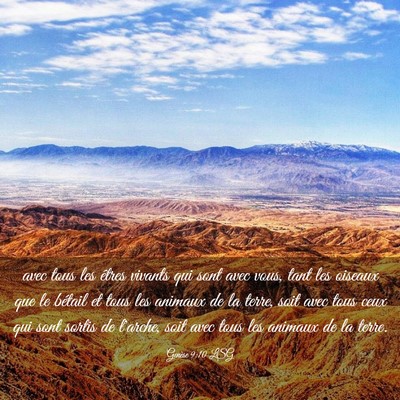 Picture 03 - Genèse 9:10 LSG - avec tous les êtres vivants qui sont avec vous, - Bible Verse Picture