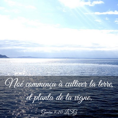 Picture 03 - Genèse 9:20 LSG - Noé commença à cultiver la terre, et planta de - Bible Verse Picture