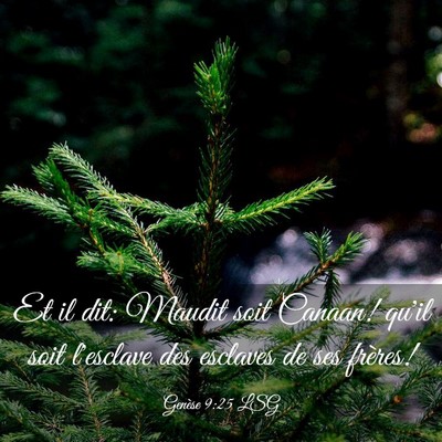 Picture 03 - Genèse 9:25 LSG - Et il dit: Maudit soit Canaan! qu'il soit - Bible Verse Picture