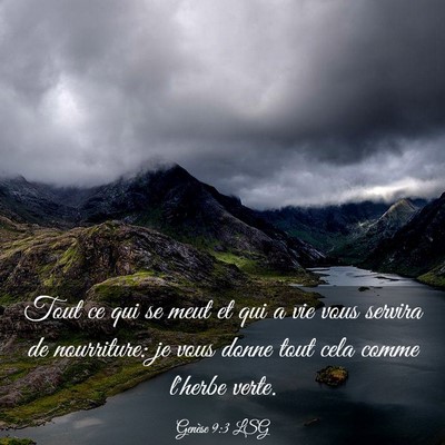 Picture 03 - Genèse 9:3 LSG - Tout ce qui se meut et qui a vie vous servira de - Bible Verse Picture