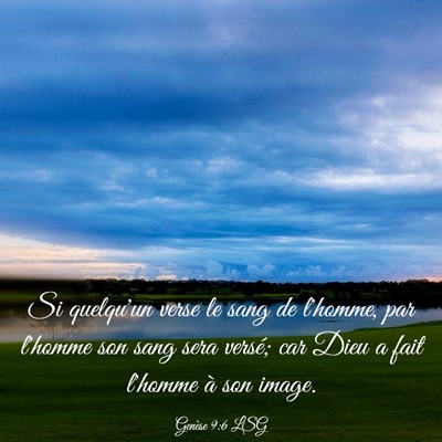 Picture 03 - Genèse 9:6 LSG - Si quelqu'un verse le sang de l'homme, par - Bible Verse Picture