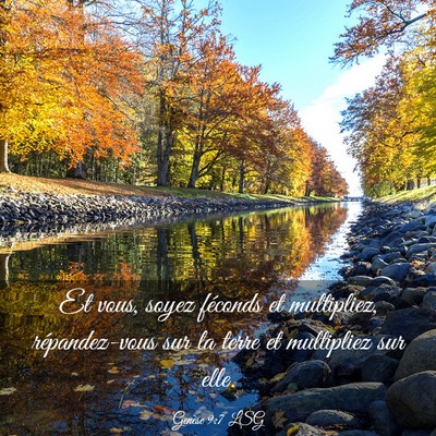 Picture 03 - Genèse 9:7 LSG - Et vous, soyez féconds et multipliez, - Bible Verse Picture