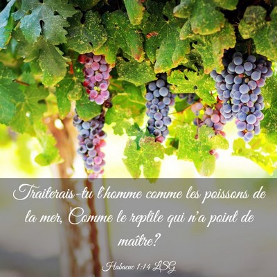 Picture 03 - Habacuc 1:14 LSG - Traiterais-tu l'homme comme les poissons de la - Bible Verse Picture