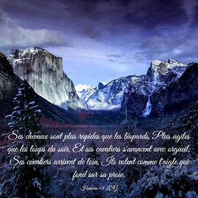 Picture 03 - Habacuc 1:8 LSG - Ses chevaux sont plus rapides que les léopards, - Bible Verse Picture