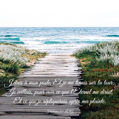 Picture 03 - Habacuc 2:1 LSG - J'étais à mon poste, Et je me tenais sur la - Bible Verse Picture
