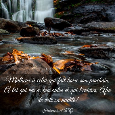 Picture 03 - Habacuc 2:15 LSG - Malheur à celui qui fait boire son prochain, A - Bible Verse Picture