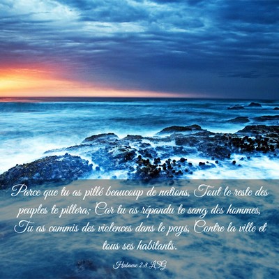 Picture 03 - Habacuc 2:8 LSG - Parce que tu as pillé beaucoup de nations, Tout - Bible Verse Picture