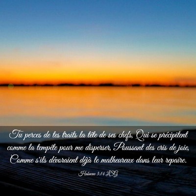 Picture 03 - Habacuc 3:14 LSG - Tu perces de tes traits la tête de ses chefs, - Bible Verse Picture