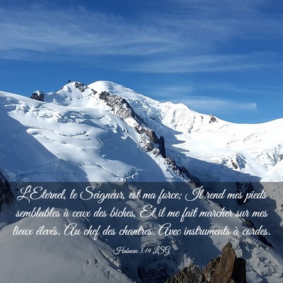 Picture 03 - Habacuc 3:19 LSG - L'Eternel, le Seigneur, est ma force; Il rend mes - Bible Verse Picture