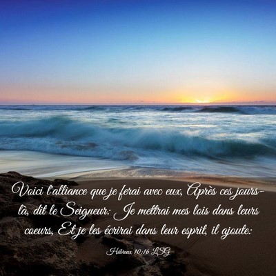 Picture 03 - Hébreux 10:16 LSG - Voici l'alliance que je ferai avec eux, Après - Bible Verse Picture