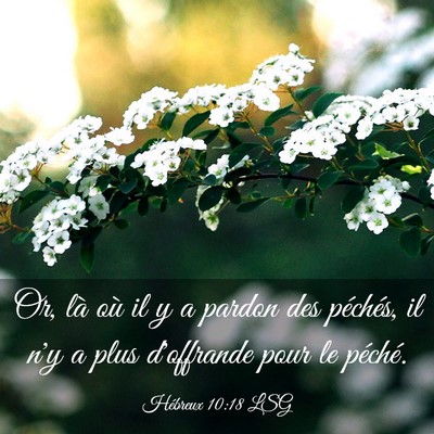 Picture 03 - Hébreux 10:18 LSG - Or, là où il y a pardon des péchés, il n'y a - Bible Verse Picture