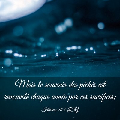 Picture 03 - Hébreux 10:3 LSG - Mais le souvenir des péchés est renouvelé - Bible Verse Picture