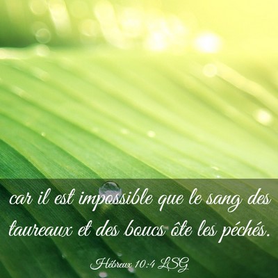 Picture 03 - Hébreux 10:4 LSG - car il est impossible que le sang des taureaux et - Bible Verse Picture