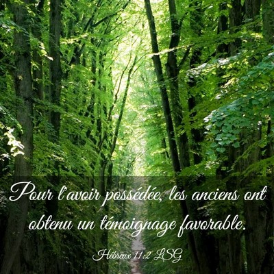 Picture 03 - Hébreux 11:2 LSG - Pour l'avoir possédée, les anciens ont obtenu - Bible Verse Picture