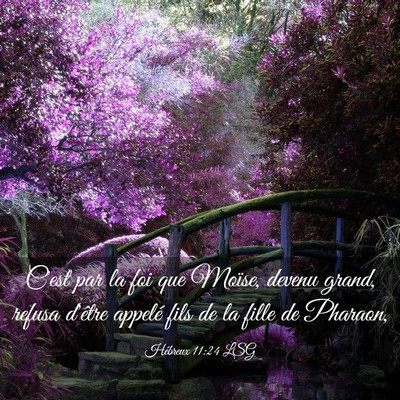 Picture 03 - Hébreux 11:24 LSG - C'est par la foi que Moïse, devenu grand, refusa - Bible Verse Picture