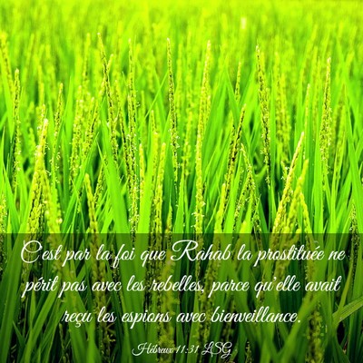 Picture 03 - Hébreux 11:31 LSG - C'est par la foi que Rahab la prostituée ne - Bible Verse Picture
