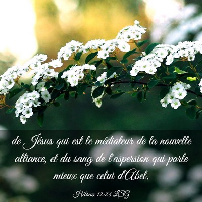 Picture 03 - Hébreux 12:24 LSG - de Jésus qui est le médiateur de la nouvelle - Bible Verse Picture