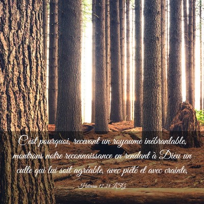 Picture 03 - Hébreux 12:28 LSG - C'est pourquoi, recevant un royaume - Bible Verse Picture