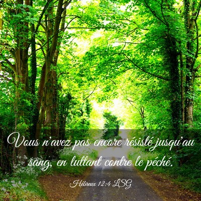 Picture 03 - Hébreux 12:4 LSG - Vous n'avez pas encore résisté jusqu'au sang, - Bible Verse Picture