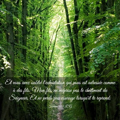 Picture 03 - Hébreux 12:5 LSG - Et vous avez oublié l'exhortation qui vous est - Bible Verse Picture