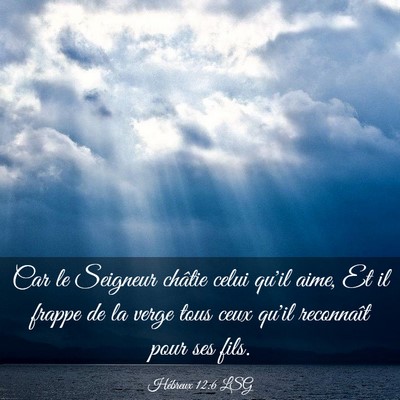 Picture 03 - Hébreux 12:6 LSG - Car le Seigneur châtie celui qu'il aime, Et il - Bible Verse Picture