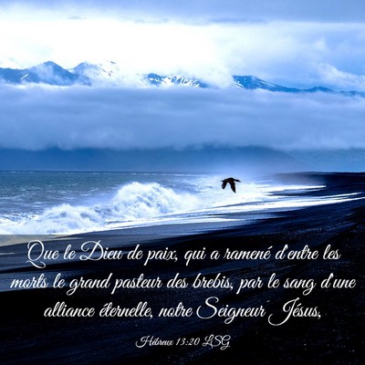 Picture 03 - Hébreux 13:20 LSG - Que le Dieu de paix, qui a ramené d'entre les - Bible Verse Picture