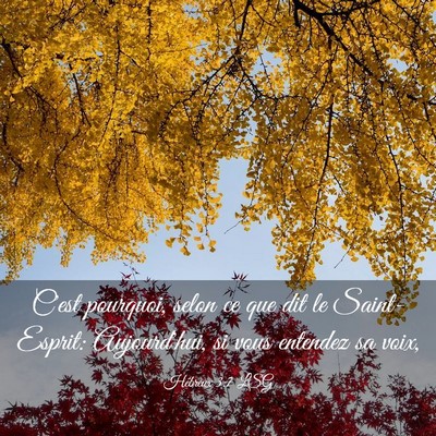 Picture 03 - Hébreux 3:7 LSG - C'est pourquoi, selon ce que dit le Saint-Esprit: - Bible Verse Picture