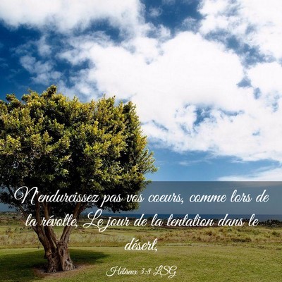 Picture 03 - Hébreux 3:8 LSG - N'endurcissez pas vos coeurs, comme lors de la - Bible Verse Picture
