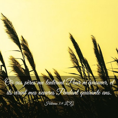 Picture 03 - Hébreux 3:9 LSG - Où vos pères me tentèrent Pour m'éprouver, et - Bible Verse Picture