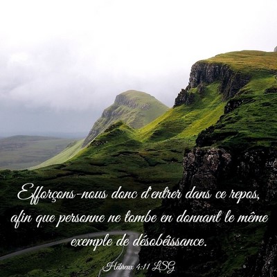 Picture 03 - Hébreux 4:11 LSG - Efforçons-nous donc d'entrer dans ce repos, afin - Bible Verse Picture