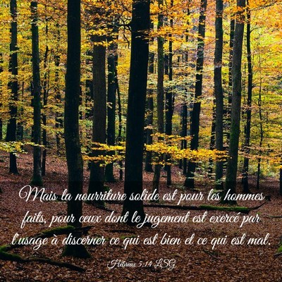 Picture 03 - Hébreux 5:14 LSG - Mais la nourriture solide est pour les hommes - Bible Verse Picture