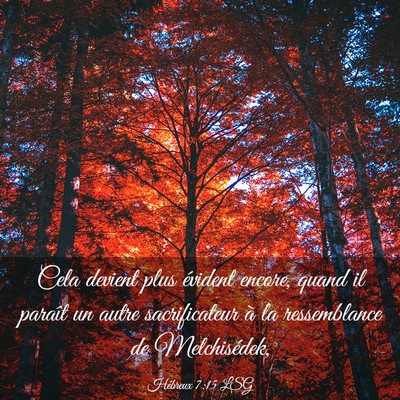 Picture 03 - Hébreux 7:15 LSG - Cela devient plus évident encore, quand il - Bible Verse Picture