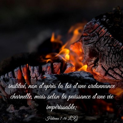 Picture 03 - Hébreux 7:16 LSG - institué, non d'après la loi d'une ordonnance - Bible Verse Picture