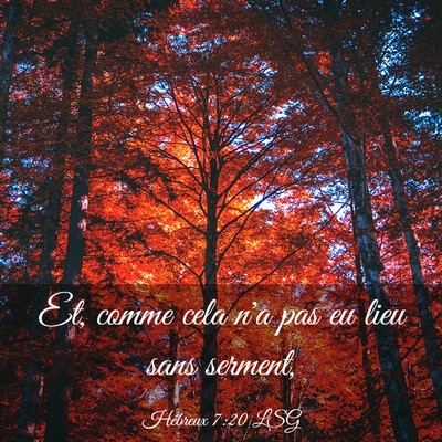 Picture 03 - Hébreux 7:20 LSG - Et, comme cela n'a pas eu lieu sans - Bible Verse Picture