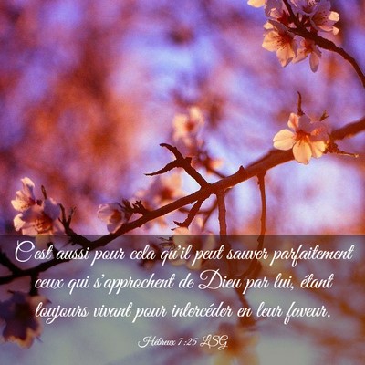 Picture 03 - Hébreux 7:25 LSG - C'est aussi pour cela qu'il peut sauver - Bible Verse Picture