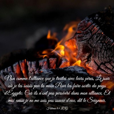 Picture 03 - Hébreux 8:9 LSG - Non comme l'alliance que je traitai avec leurs - Bible Verse Picture