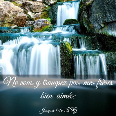 Picture 03 - Jacques 1:16 LSG - Ne vous y trompez pas, mes frères - Bible Verse Picture