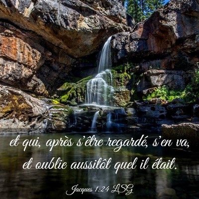 Picture 03 - Jacques 1:24 LSG - et qui, après s'être regardé, s'en va, et - Bible Verse Picture